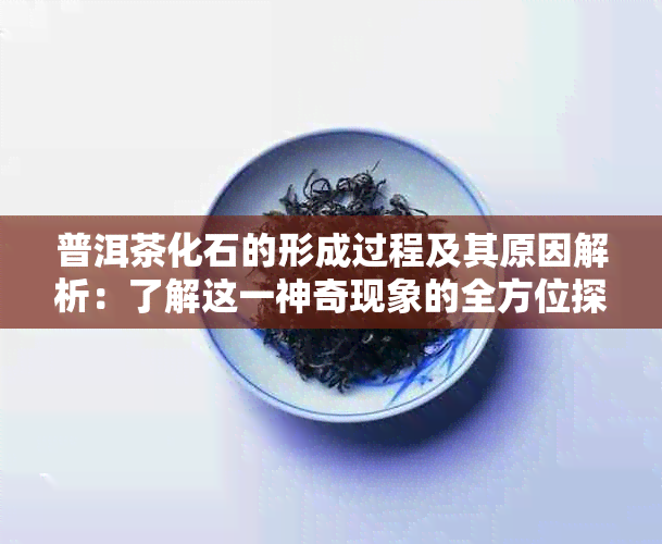 普洱茶化石的形成过程及其原因解析：了解这一神奇现象的全方位探讨