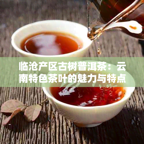 临沧产区古树普洱茶：云南特色茶叶的魅力与特点