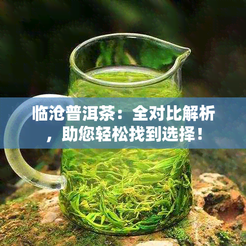 临沧普洱茶：全对比解析，助您轻松找到选择！