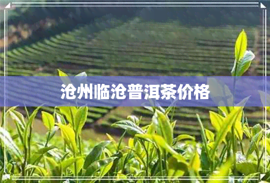 沧州临沧普洱茶价格