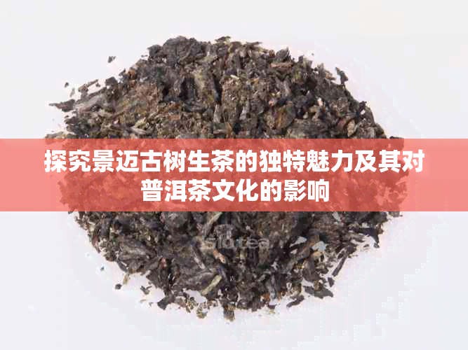 探究景迈古树生茶的独特魅力及其对普洱茶文化的影响