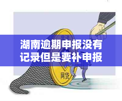 湖南逾期申报没有记录但是要补申报