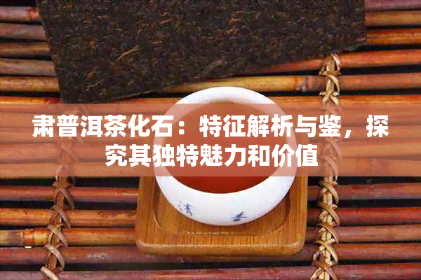 肃普洱茶化石：特征解析与鉴，探究其独特魅力和价值