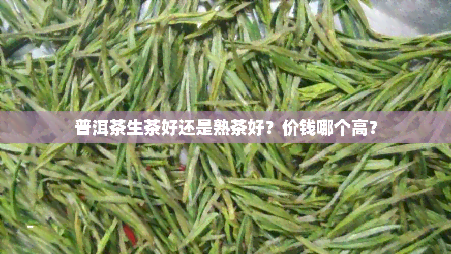 普洱茶生茶好还是熟茶好？价钱哪个高？