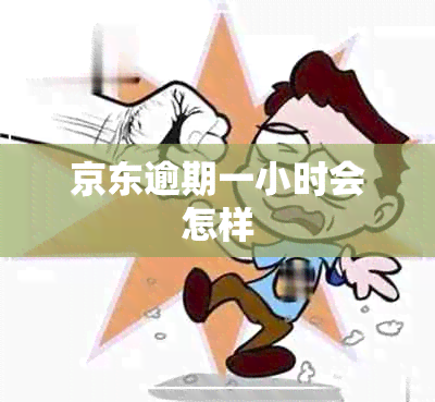 京东逾期一小时会怎样