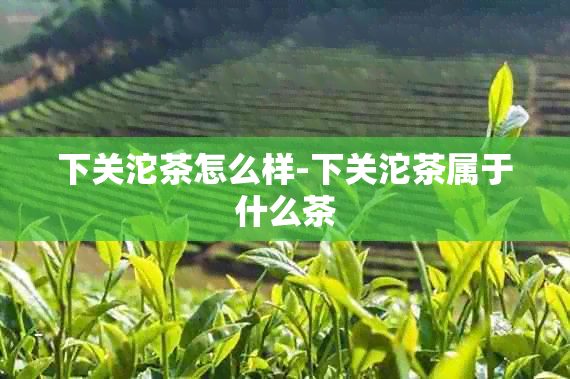 下关沱茶怎么样-下关沱茶属于什么茶