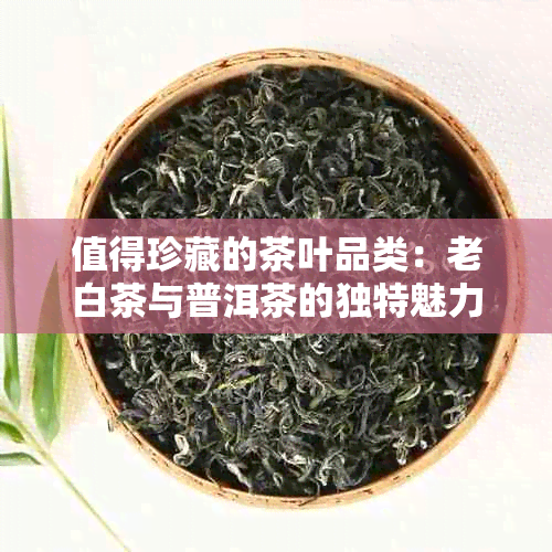 值得珍藏的茶叶品类：老白茶与普洱茶的独特魅力