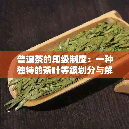 普洱茶的印级制度：一种独特的茶叶等级划分与解析