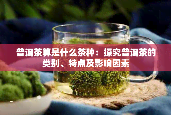 普洱茶算是什么茶种：探究普洱茶的类别、特点及影响因素