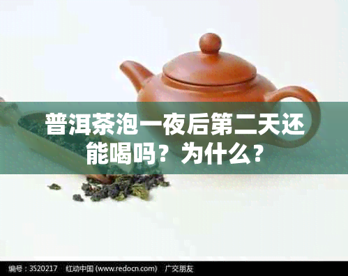 普洱茶泡一夜后第二天还能喝吗？为什么？