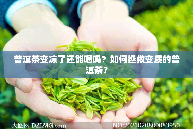 普洱茶变凉了还能喝吗？如何拯救变质的普洱茶？