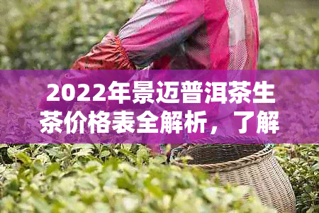 2022年景迈普洱茶生茶价格表全解析，了解普洱茶市场动态与选购指南