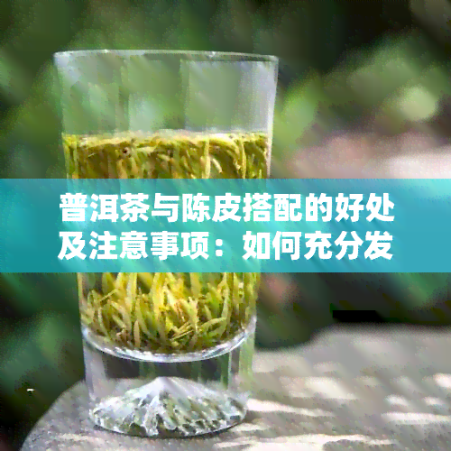 普洱茶与陈皮搭配的好处及注意事项：如何充分发挥两者的功效？