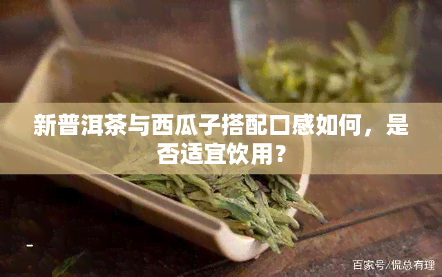 新普洱茶与西瓜子搭配口感如何，是否适宜饮用？