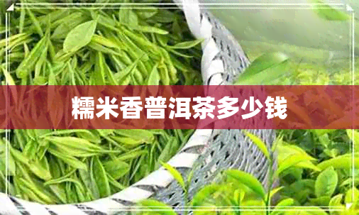 糯米香普洱茶多少钱