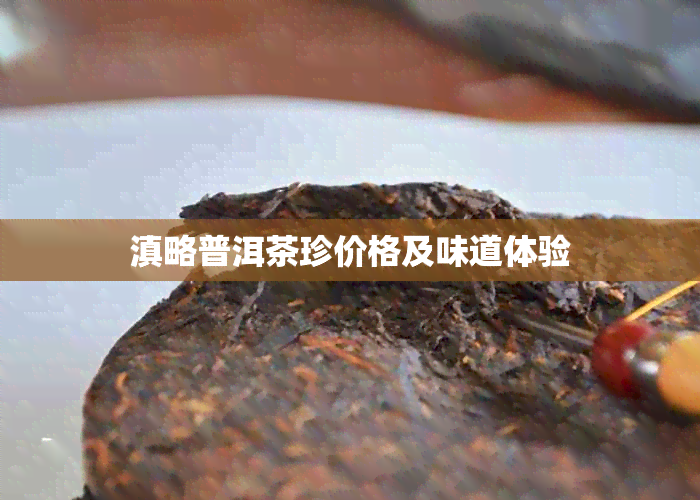 滇略普洱茶珍价格及味道体验