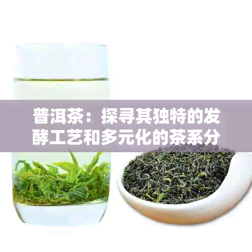 普洱茶：探寻其独特的发酵工艺和多元化的茶系分类