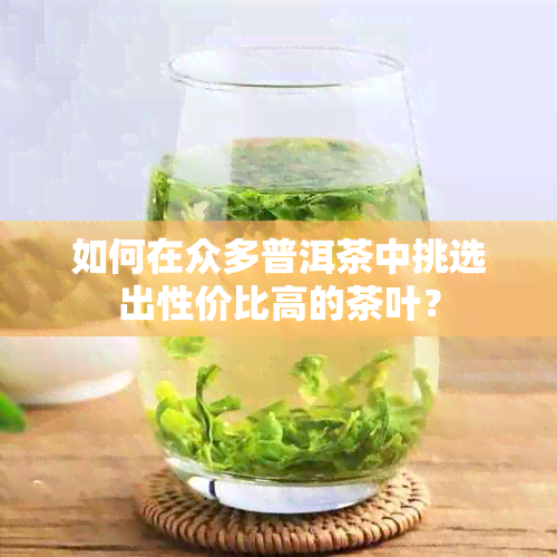 如何在众多普洱茶中挑选出性价比高的茶叶？