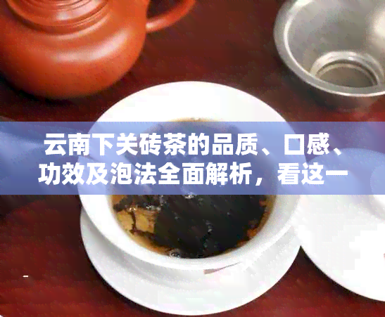 云南下关砖茶的品质、口感、功效及泡法全面解析，看这一篇就够了！