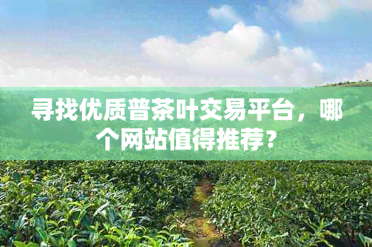 寻找优质普茶叶交易平台，哪个网站值得推荐？