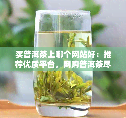 买普洱茶上哪个网站好：推荐优质平台，网购普洱茶尽在这里！