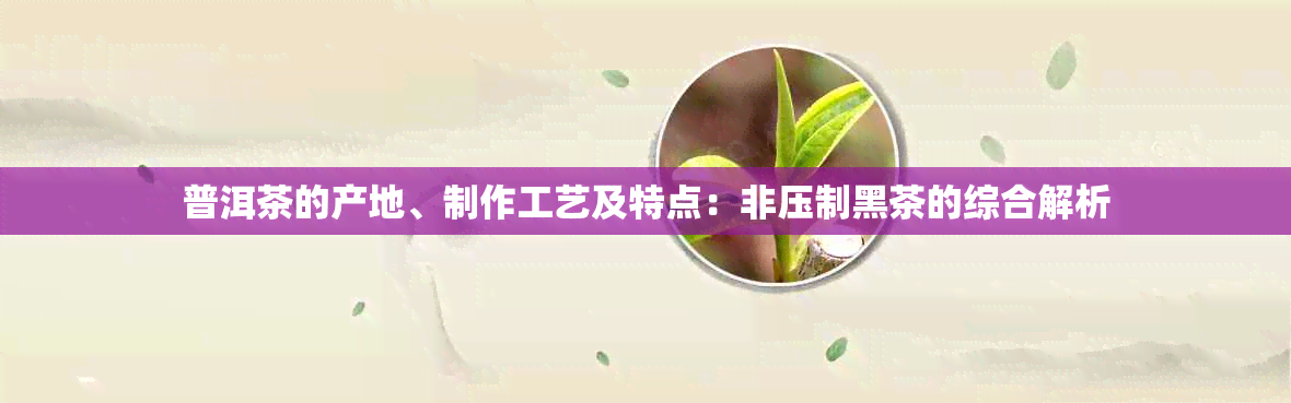 普洱茶的产地、制作工艺及特点：非压制黑茶的综合解析