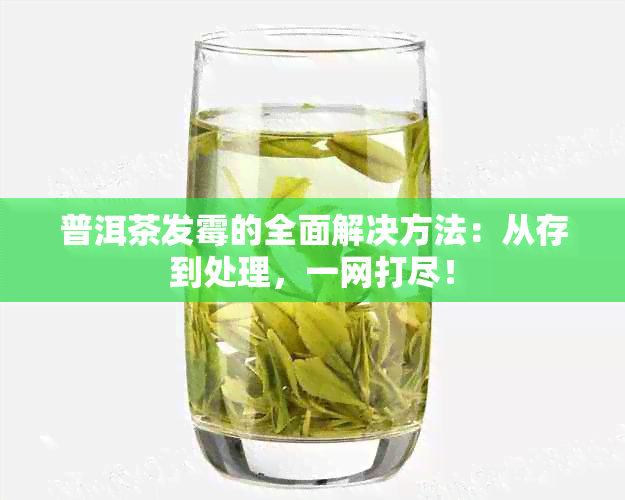 普洱茶发霉的全面解决方法：从存到处理，一网打尽！