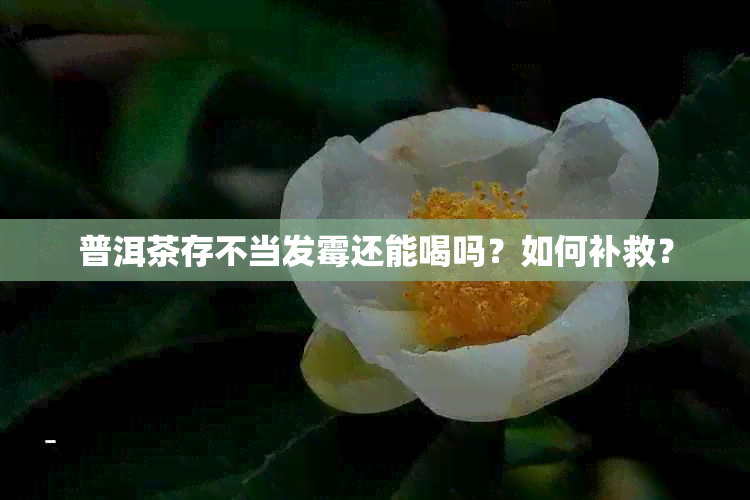 普洱茶存不当发霉还能喝吗？如何补救？