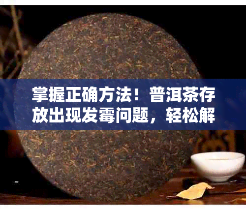 掌握正确方法！普洱茶存放出现发霉问题，轻松解决处理难题