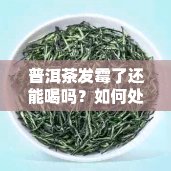 普洱茶发霉了还能喝吗？如何处理？