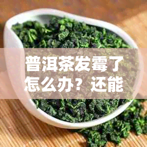 普洱茶发霉了怎么办？还能喝吗？存放不当导致普洱茶发霉，该如何补救？