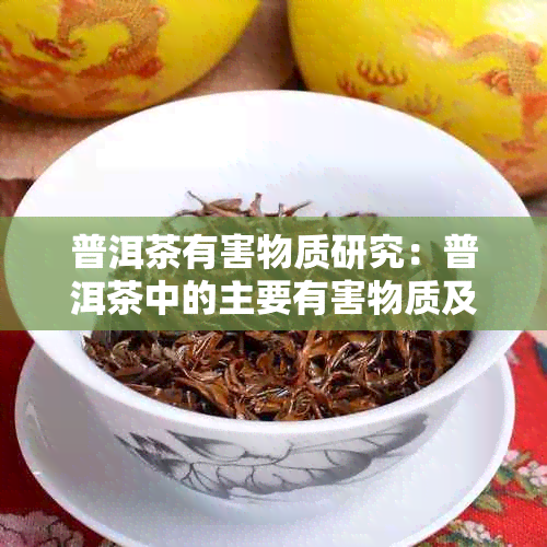 普洱茶有害物质研究：普洱茶中的主要有害物质及其来源分析