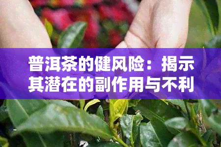 普洱茶的健风险：揭示其潜在的副作用与不利影响