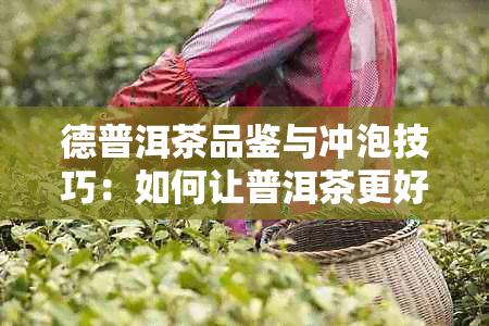 德普洱茶品鉴与冲泡技巧：如何让普洱茶更好喝？