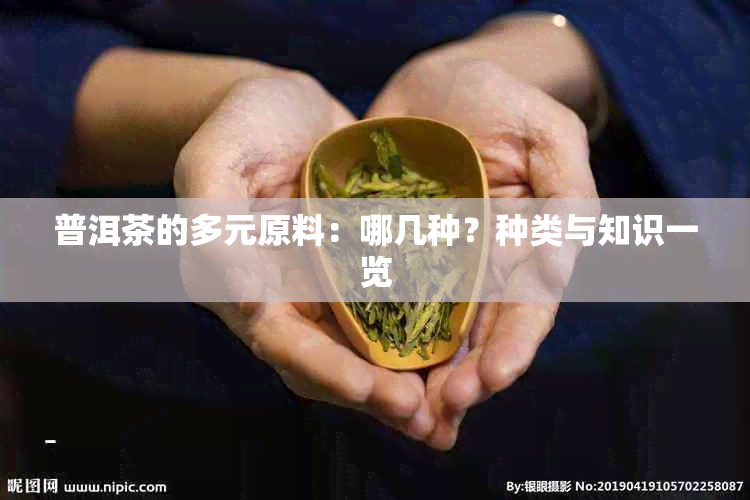 普洱茶的多元原料：哪几种？种类与知识一览