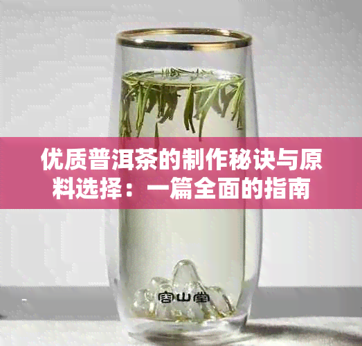 优质普洱茶的制作秘诀与原料选择：一篇全面的指南