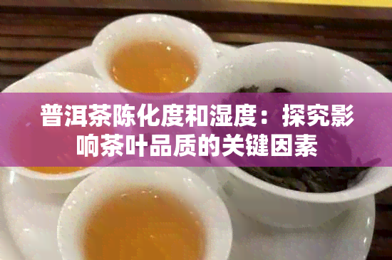 普洱茶陈化度和湿度：探究影响茶叶品质的关键因素