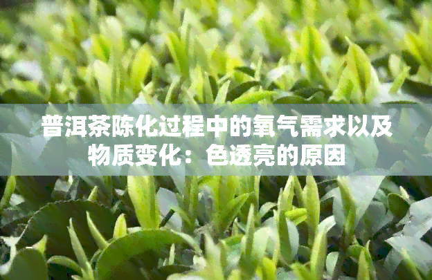 普洱茶陈化过程中的氧气需求以及物质变化：色透亮的原因