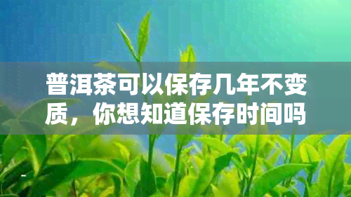 普洱茶可以保存几年不变质，你想知道保存时间吗？