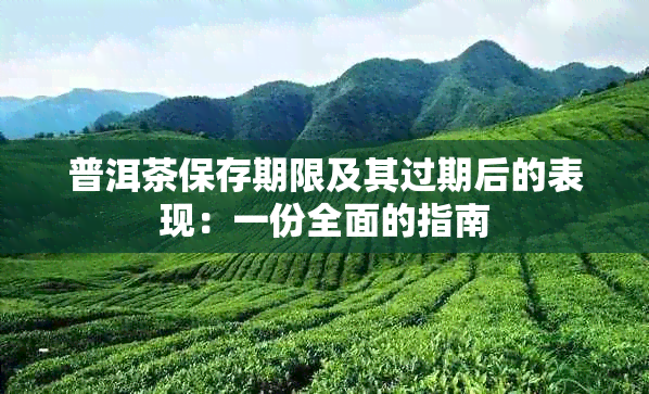 普洱茶保存期限及其过期后的表现：一份全面的指南