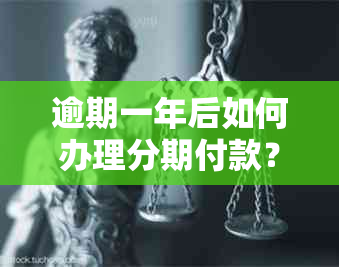 逾期一年后如何办理分期付款？解决用户关心的逾期分期问题