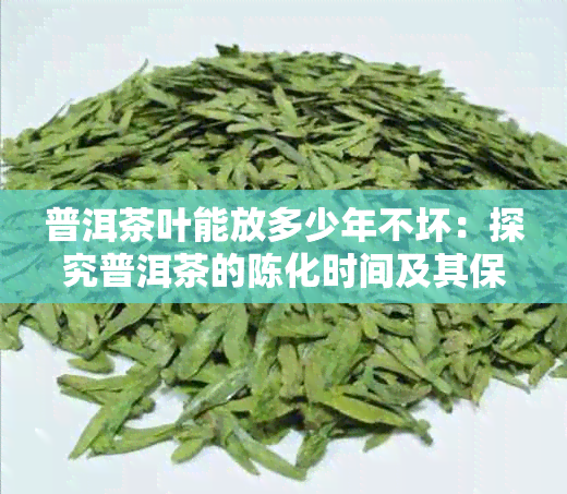 普洱茶叶能放多少年不坏：探究普洱茶的陈化时间及其保存技巧