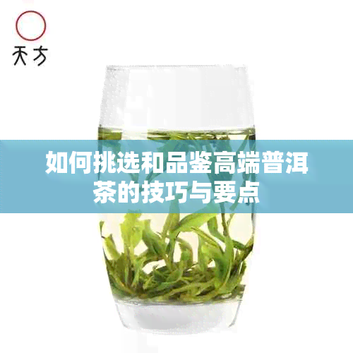 如何挑选和品鉴高端普洱茶的技巧与要点