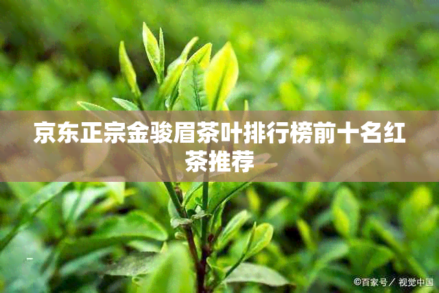 京东正宗金骏眉茶叶排行榜前十名红茶推荐