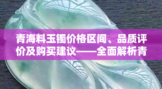 青海料玉镯价格区间、品质评价及购买建议——全面解析青海料玉镯的市场行情