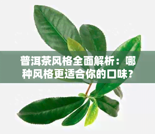 普洱茶风格全面解析：哪种风格更适合你的口味？