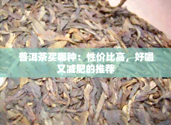 普洱茶买哪种：性价比高，好喝又减肥的推荐