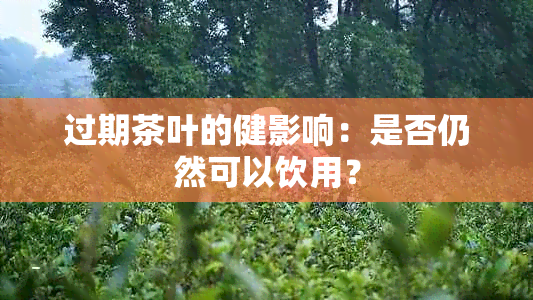 过期茶叶的健影响：是否仍然可以饮用？