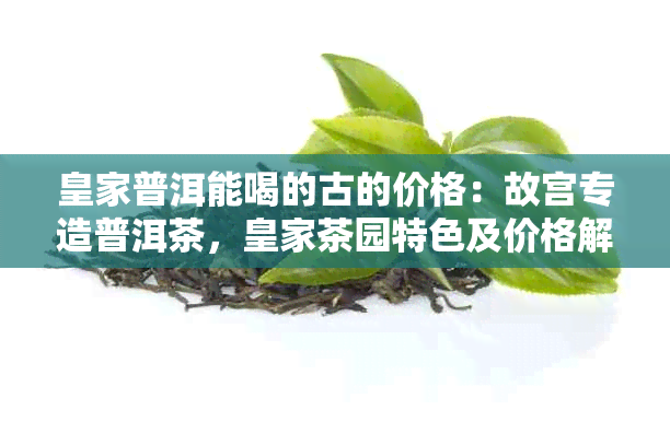 皇家普洱能喝的古的价格：故宫专造普洱茶，皇家茶园特色及价格解析