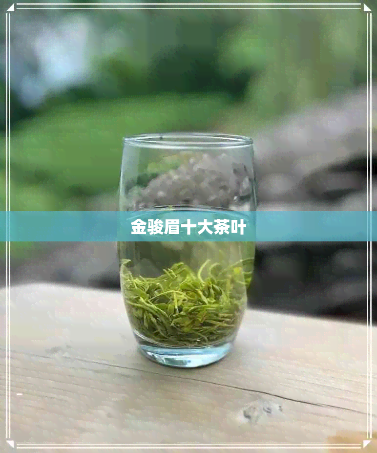 金骏眉十大茶叶